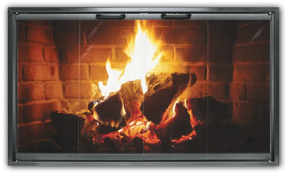 Thermo-Rite Special Z clear-glass fireplace door